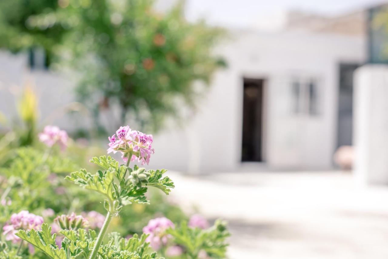 The Stone House Of Iakovos Villa Kaloudhiana Exterior photo